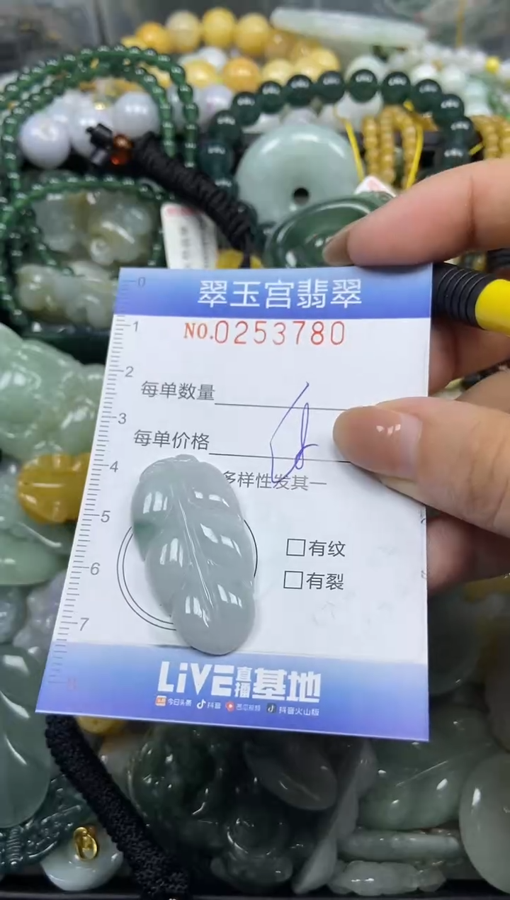 颈饰未镶嵌翡翠闪购C0253780