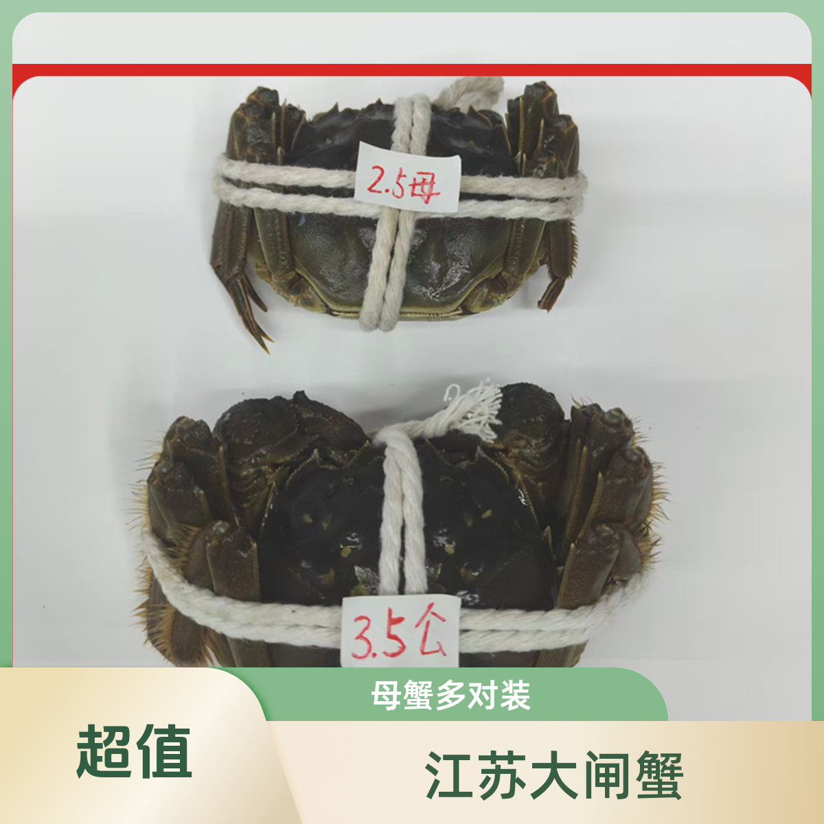 【活蟹】精品江苏大闸蟹母蟹2.5两公蟹3.5两10对/8对/6对（云南仓发货）