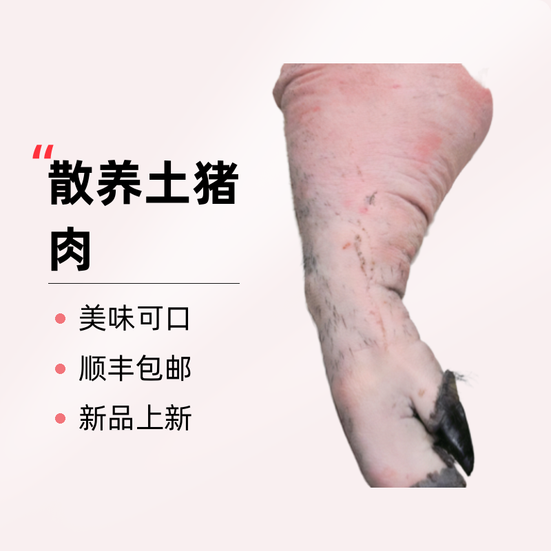 猪脚 贵州散养熟食土猪  一物一拍