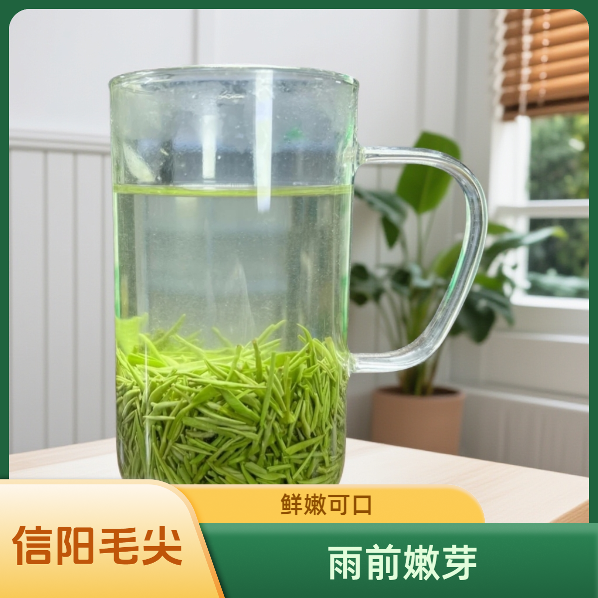 2025信阳毛尖大山春茶雨前精品嫩芽芽头鲜嫩芽尖鲜爽回甘