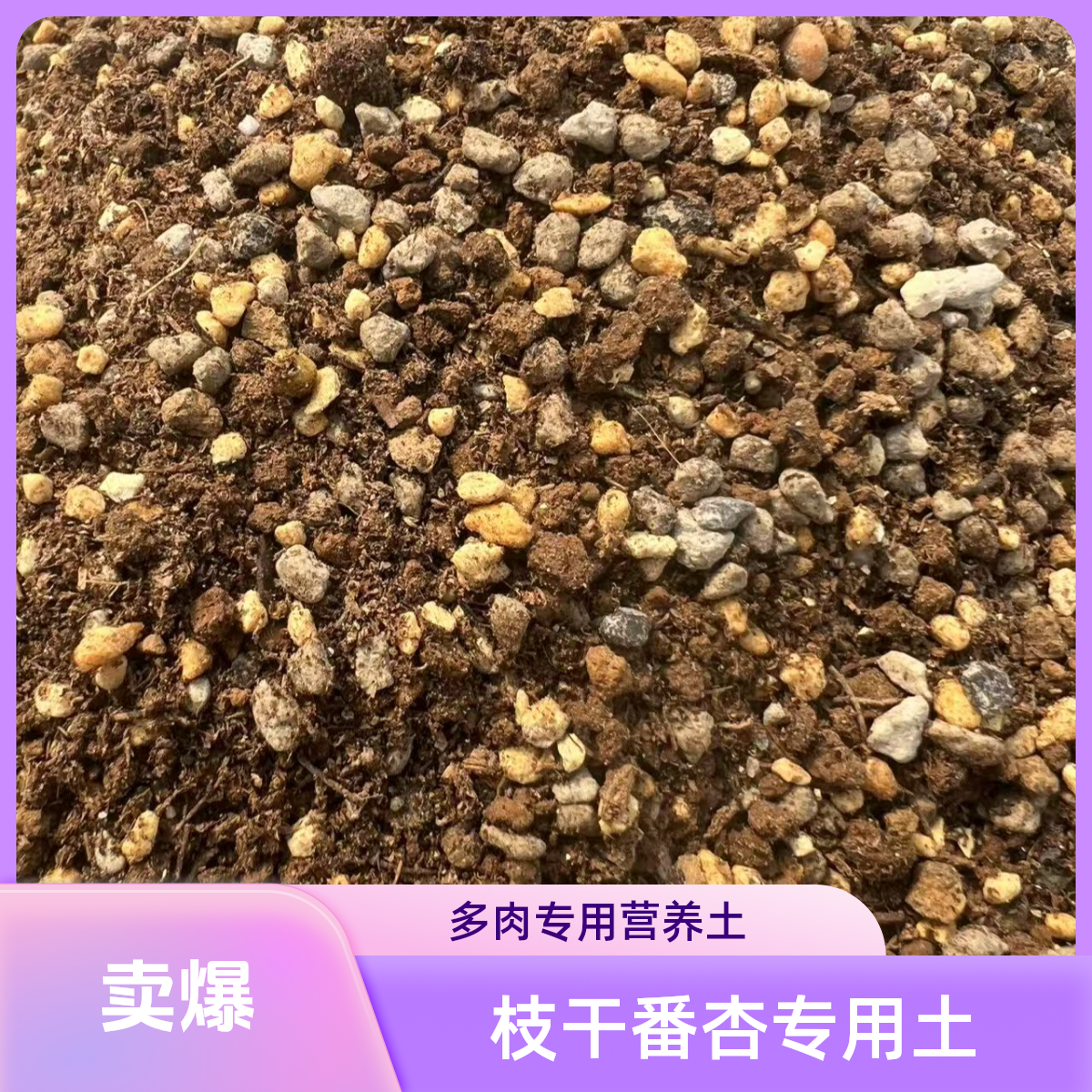 枝干番杏专用土多肉植物营养土