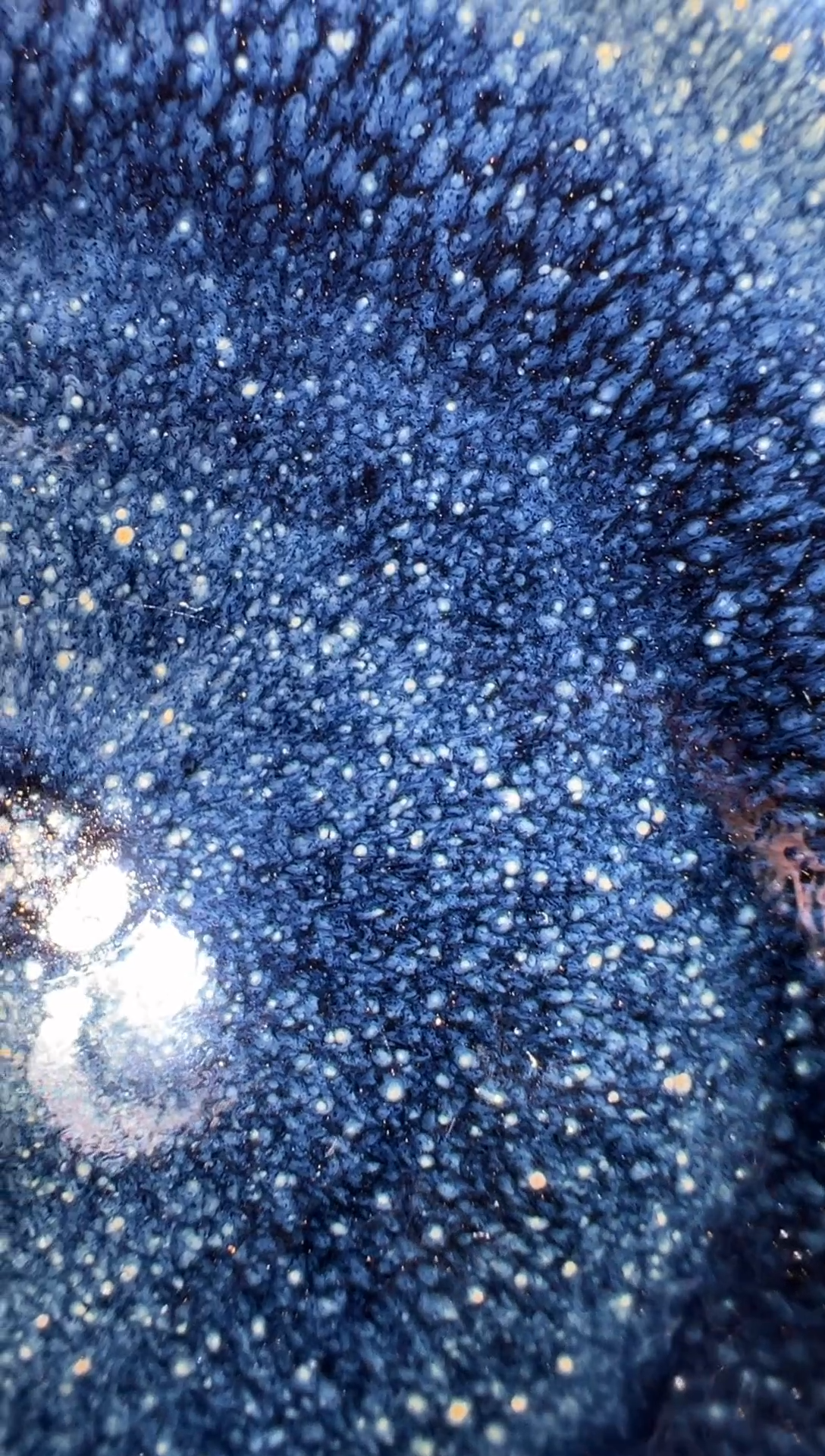 【闪购商品】茶盏老表精选柴烧312