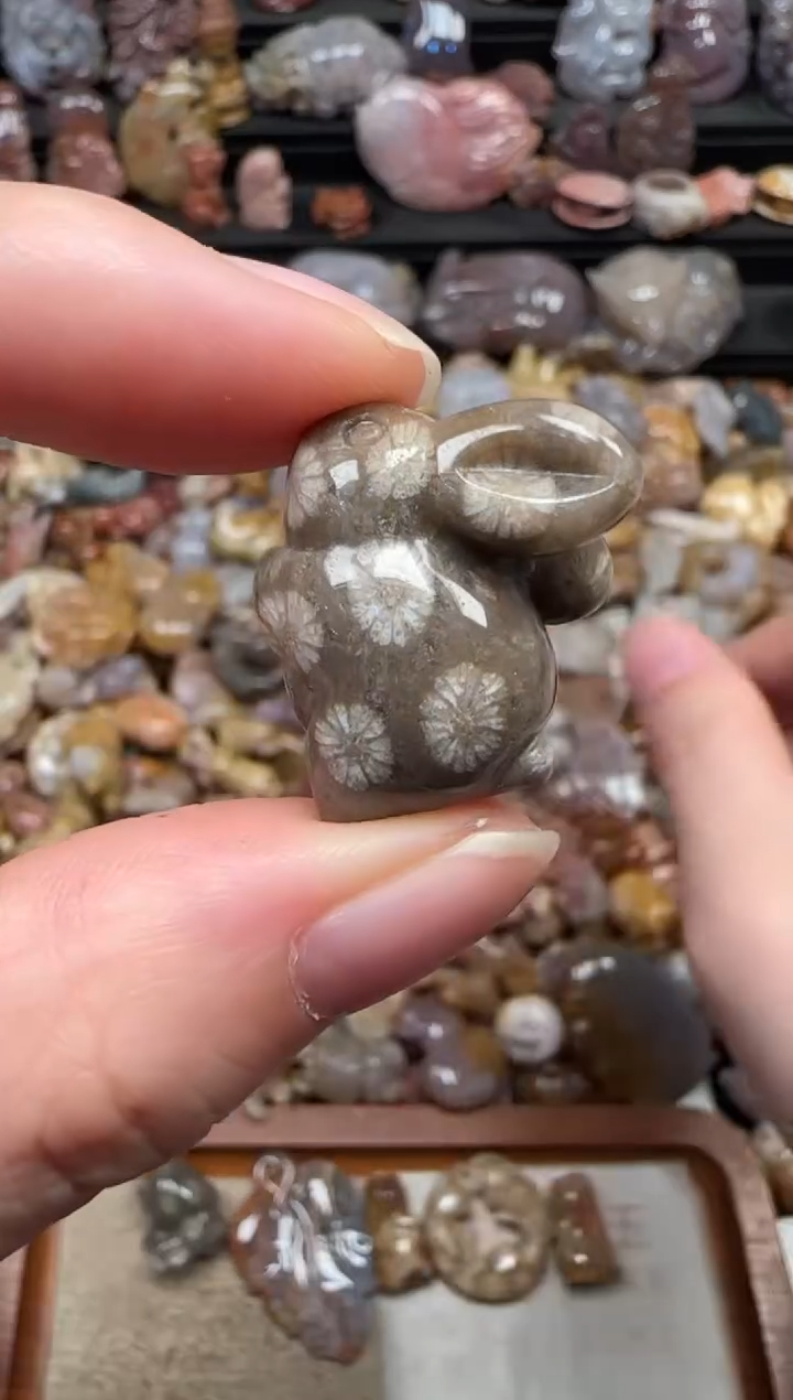 颈饰未镶嵌硅化珊瑚（珊瑚玉）656