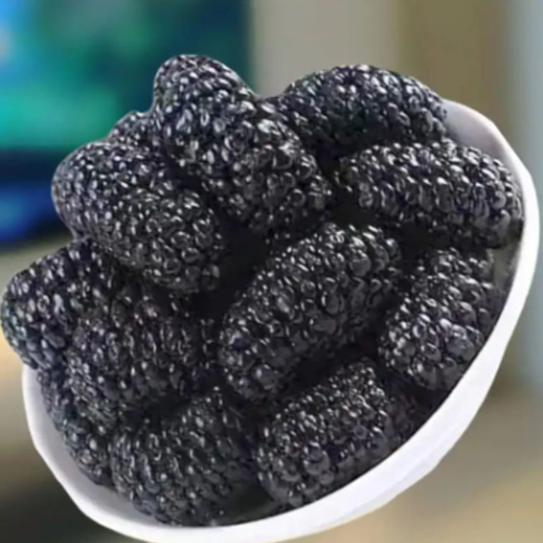 桑椹干黑桑椹新疆吐鲁番野生无添加