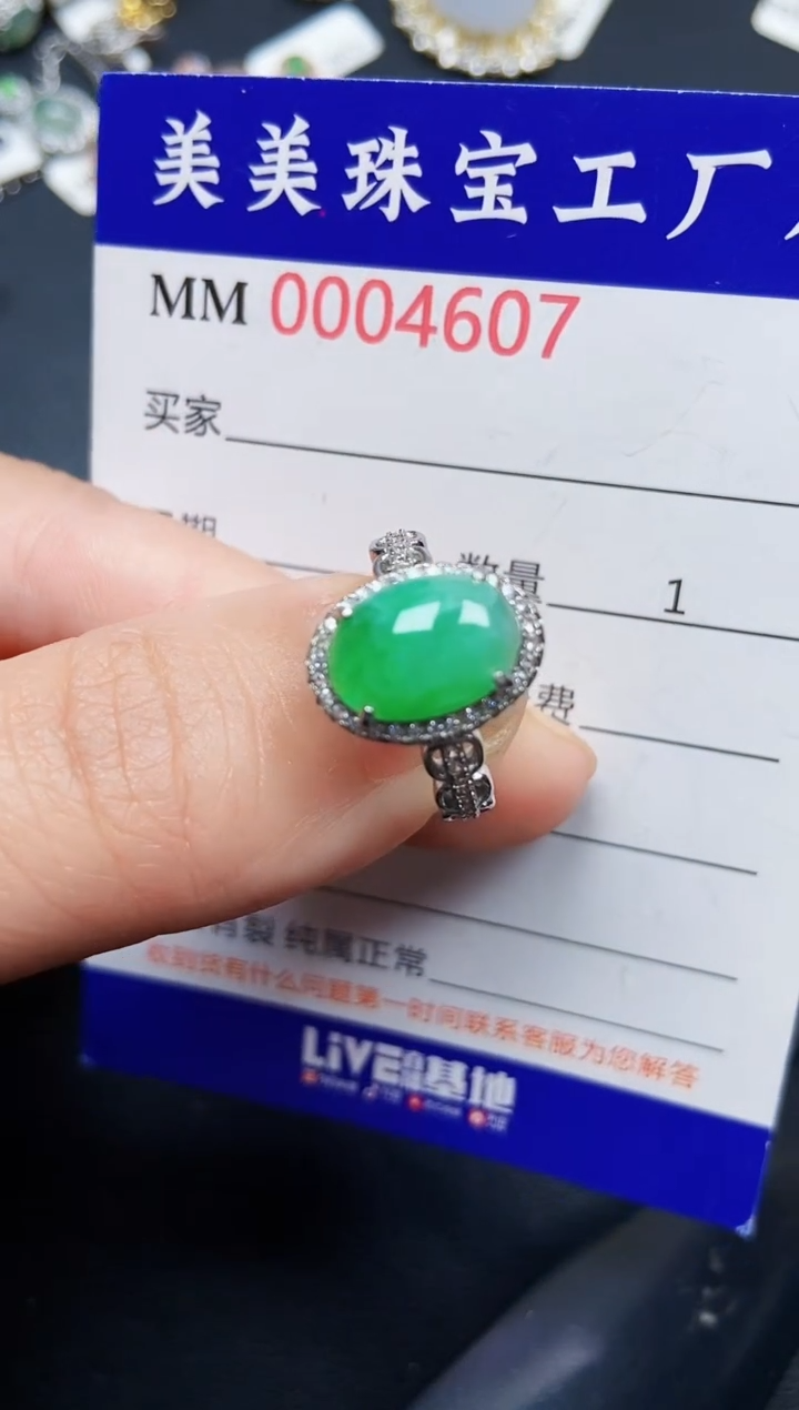 翡翠银S925镶嵌颈饰4604=7