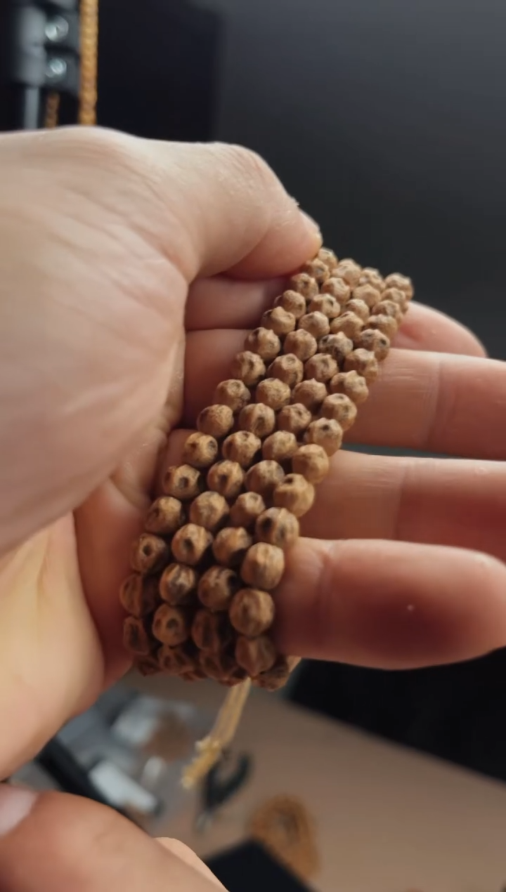 【闪购商品】柏香籽/百香籽手串【天策出品】-鬼脸尸陀林