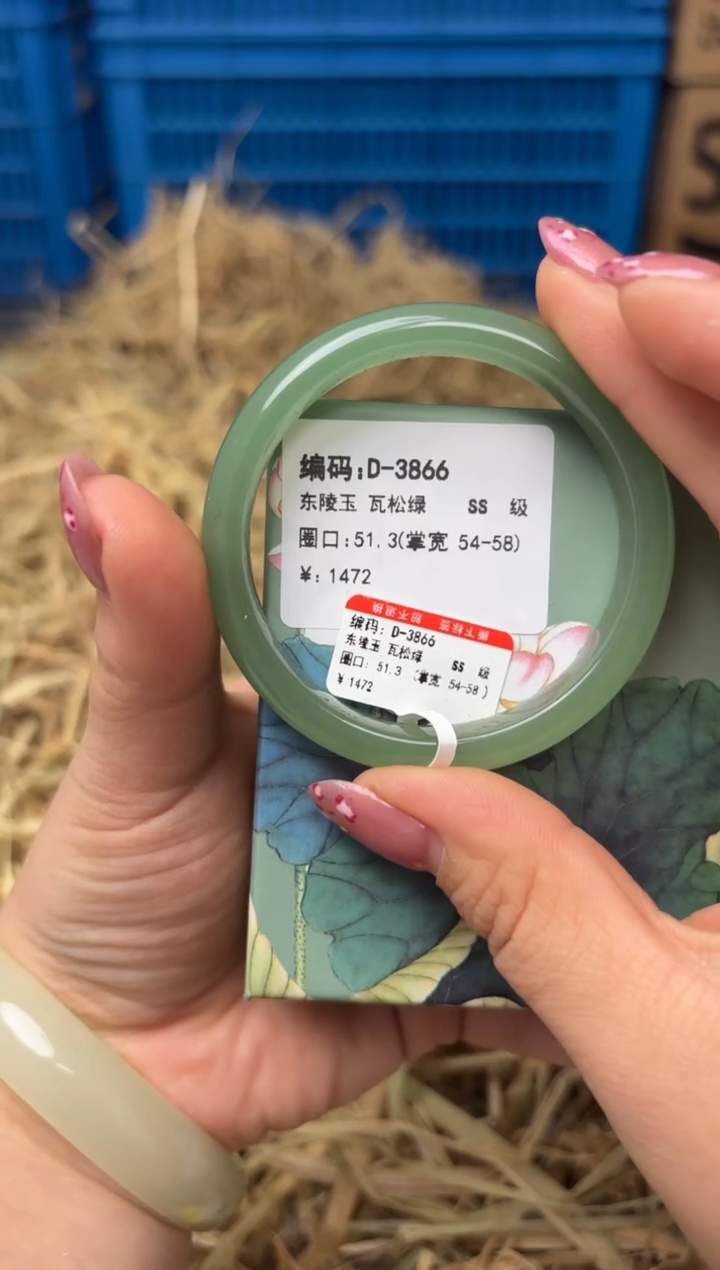 未镶嵌手镯石英质玉D-3866