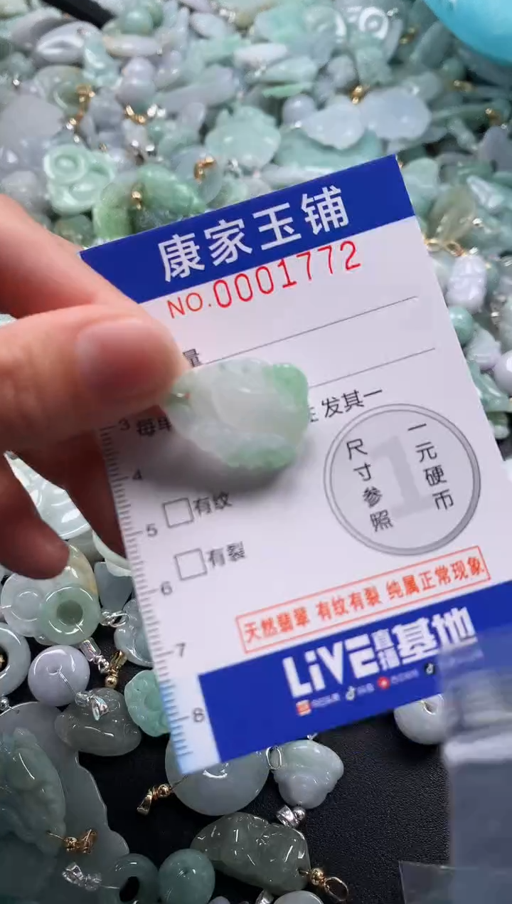 颈饰未镶嵌翡翠17721