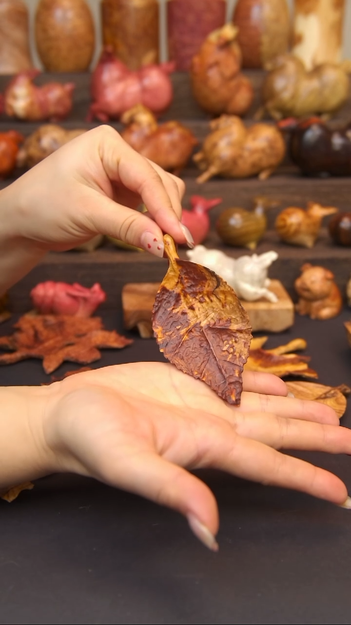 交趾黄檀（大红酸枝）山杏叶子