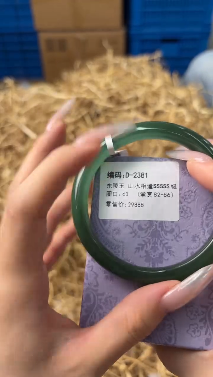 未镶嵌手镯石英质玉D-2381
