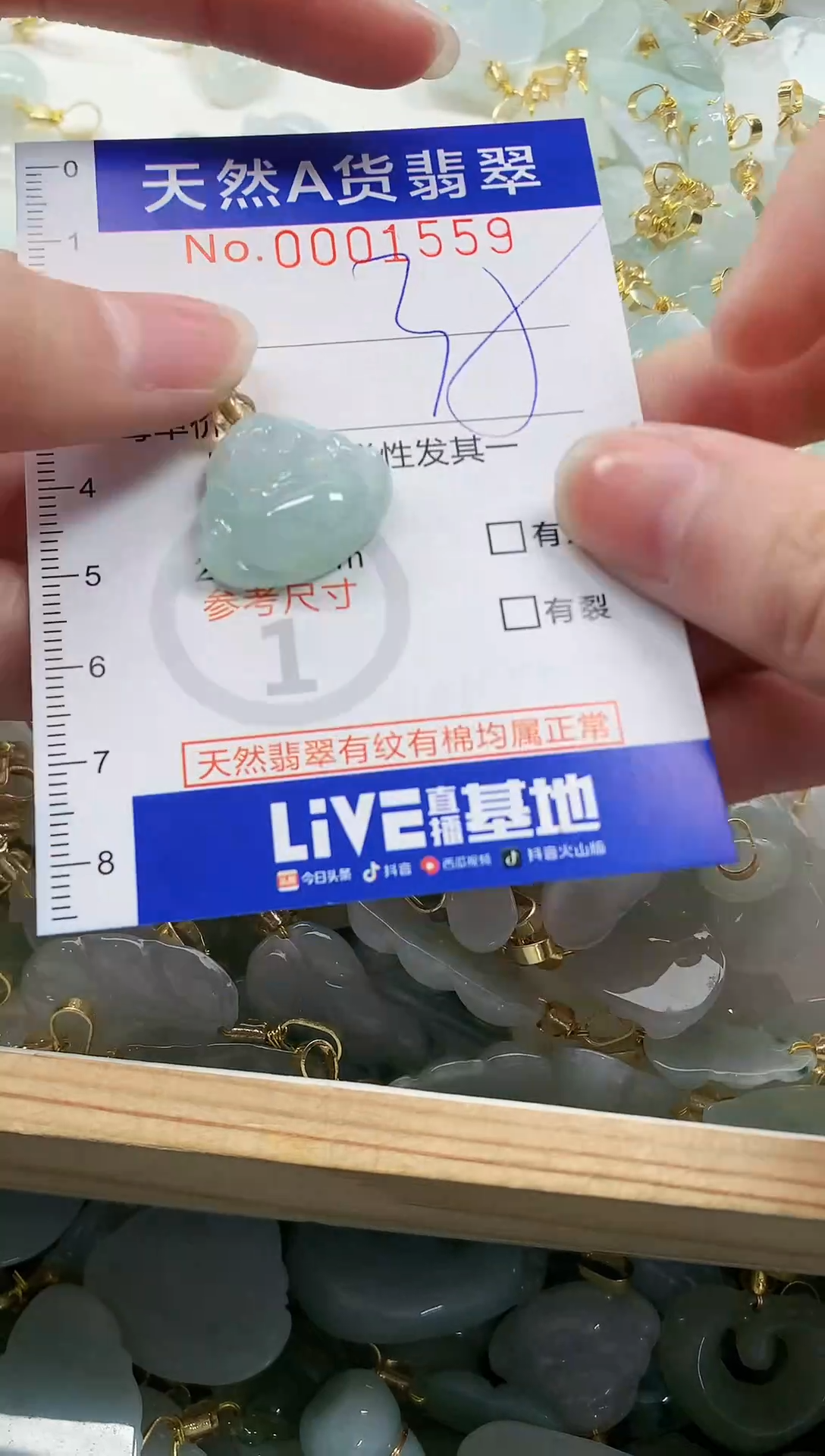 颈饰未镶嵌翡翠纯天然a货翡翠