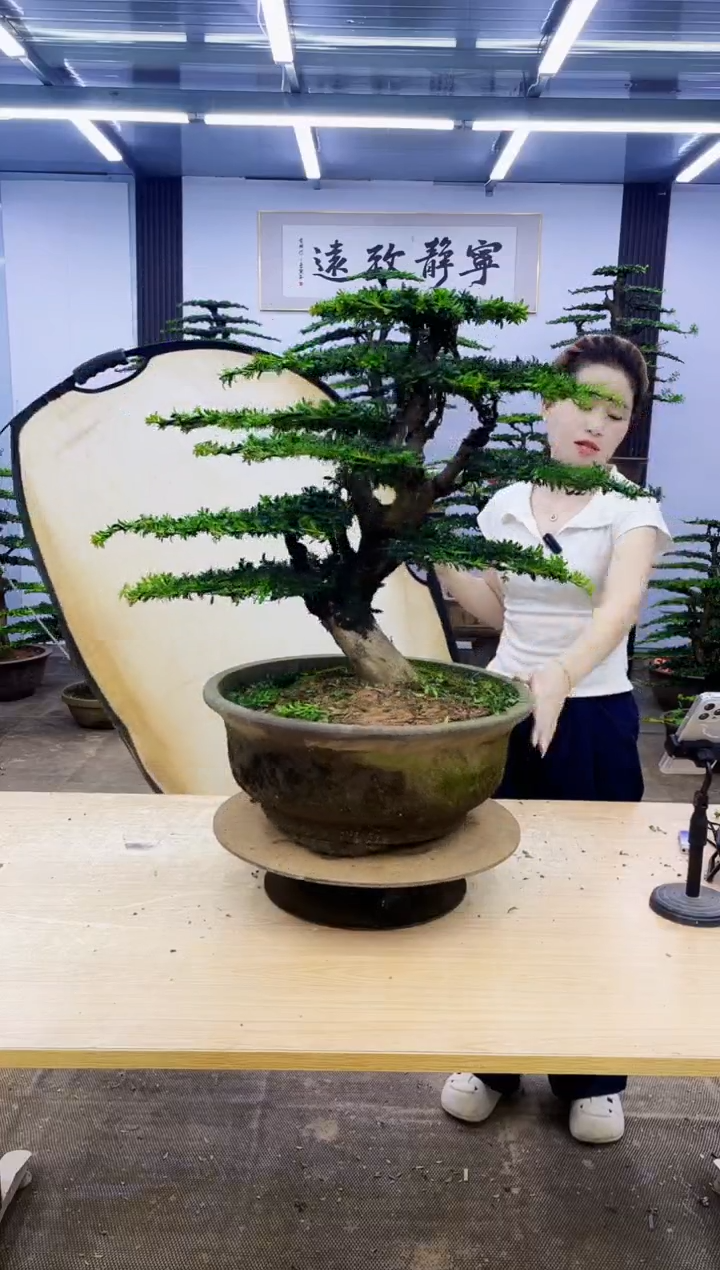 无花朵点**金000000000000000
