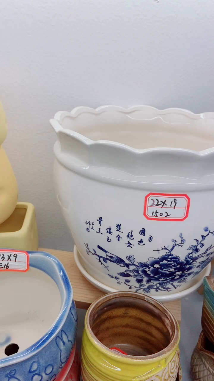 【闪购商品】陶瓷@@1502