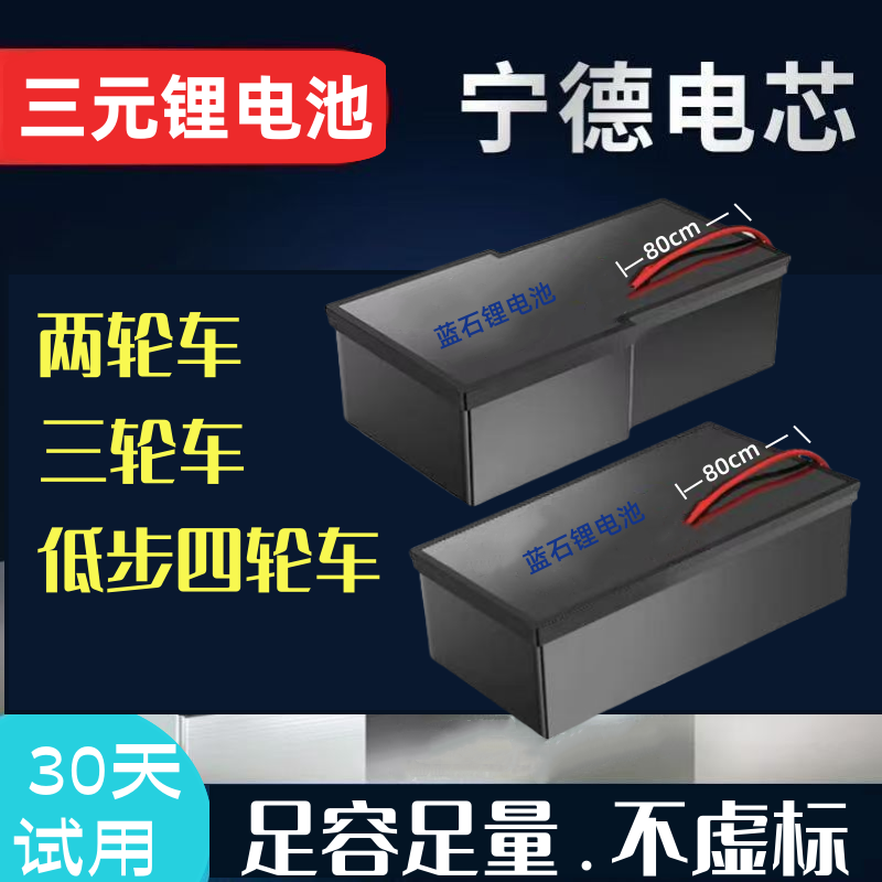 【专属定制链接】电动车锂电池