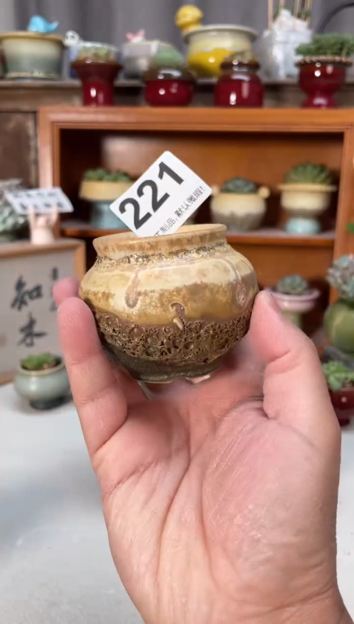 瓷片221小芳直播编号