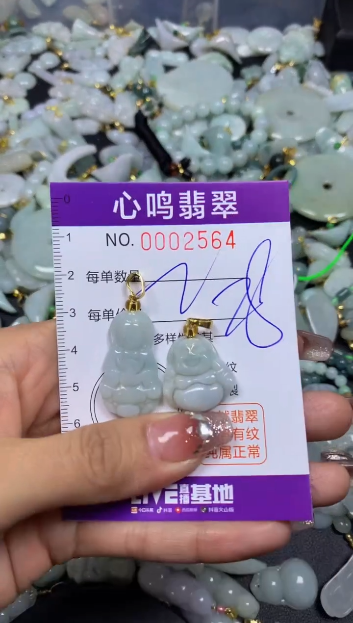 【闪购商品】翡翠颈饰未镶嵌闪购002564