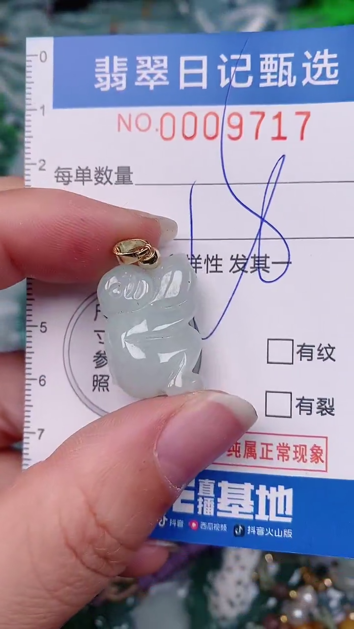 【闪购商品】翡翠颈饰未镶嵌00009717