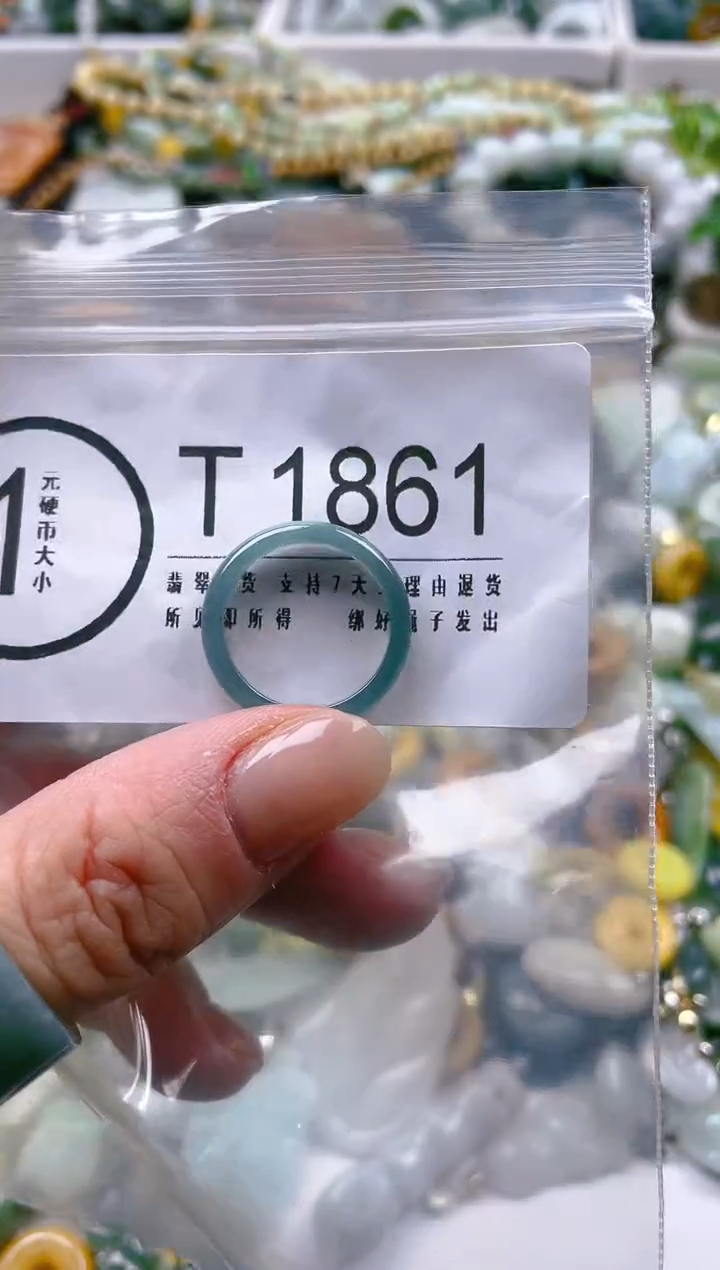 【闪购商品】翡翠颈饰未镶嵌17-18/T/翡翠A货一图一物