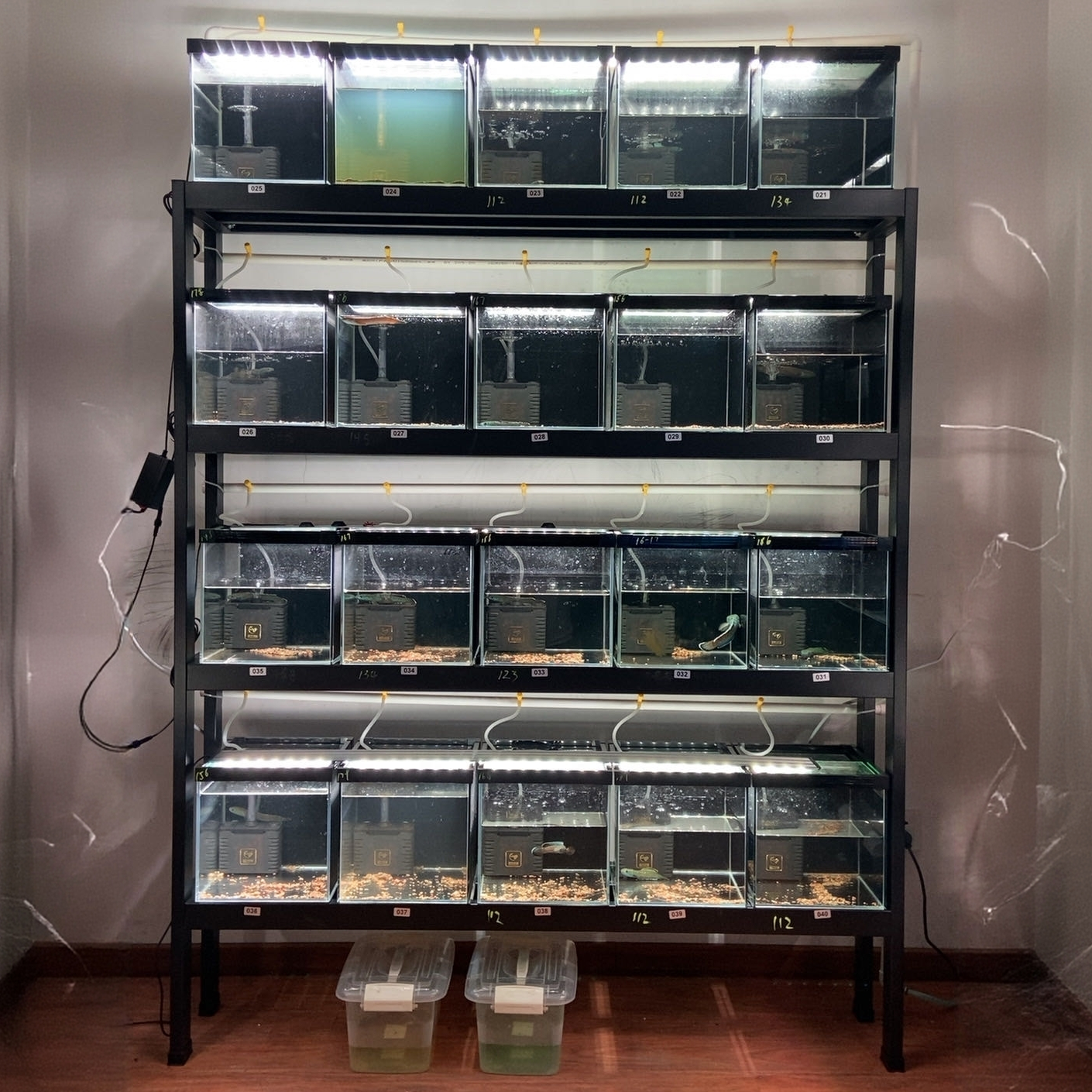 鱼房水族馆组缸系统缸重型多层鱼缸架展示架支持定制批发包邮