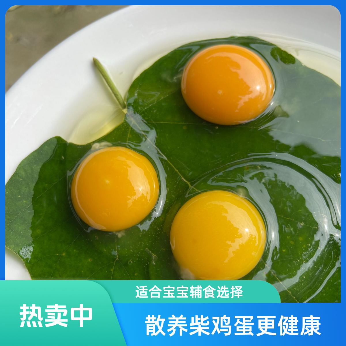 【初生蛋】 散养柴鸡蛋宝宝辅食  京东配送明日达