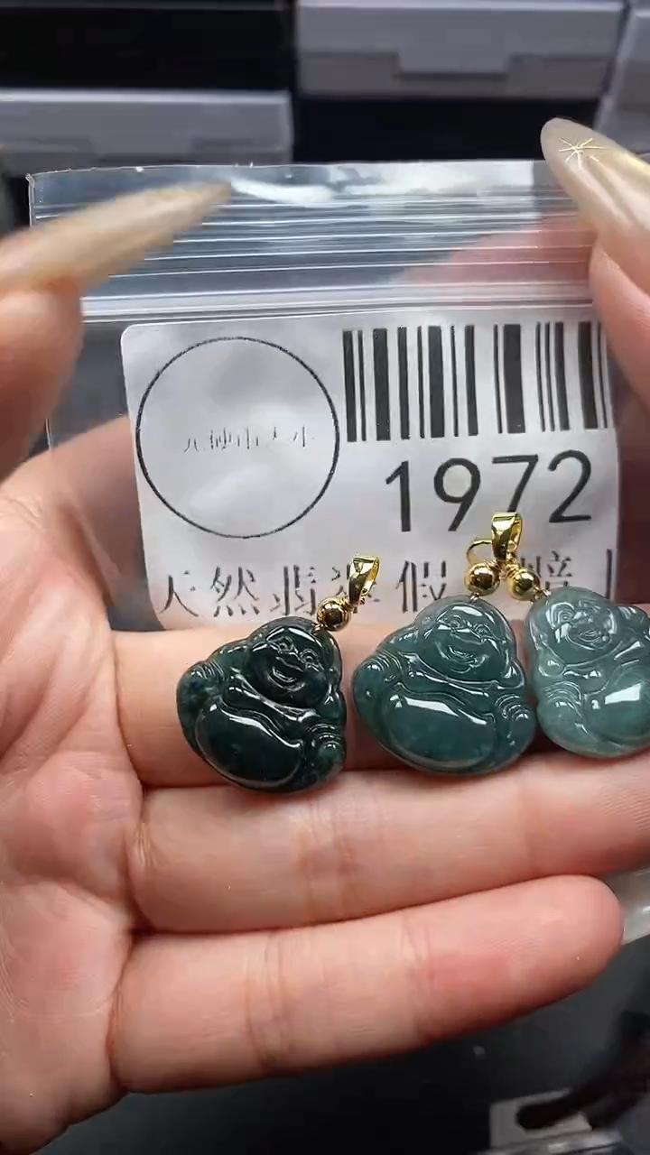 颈饰未镶嵌翡翠1972