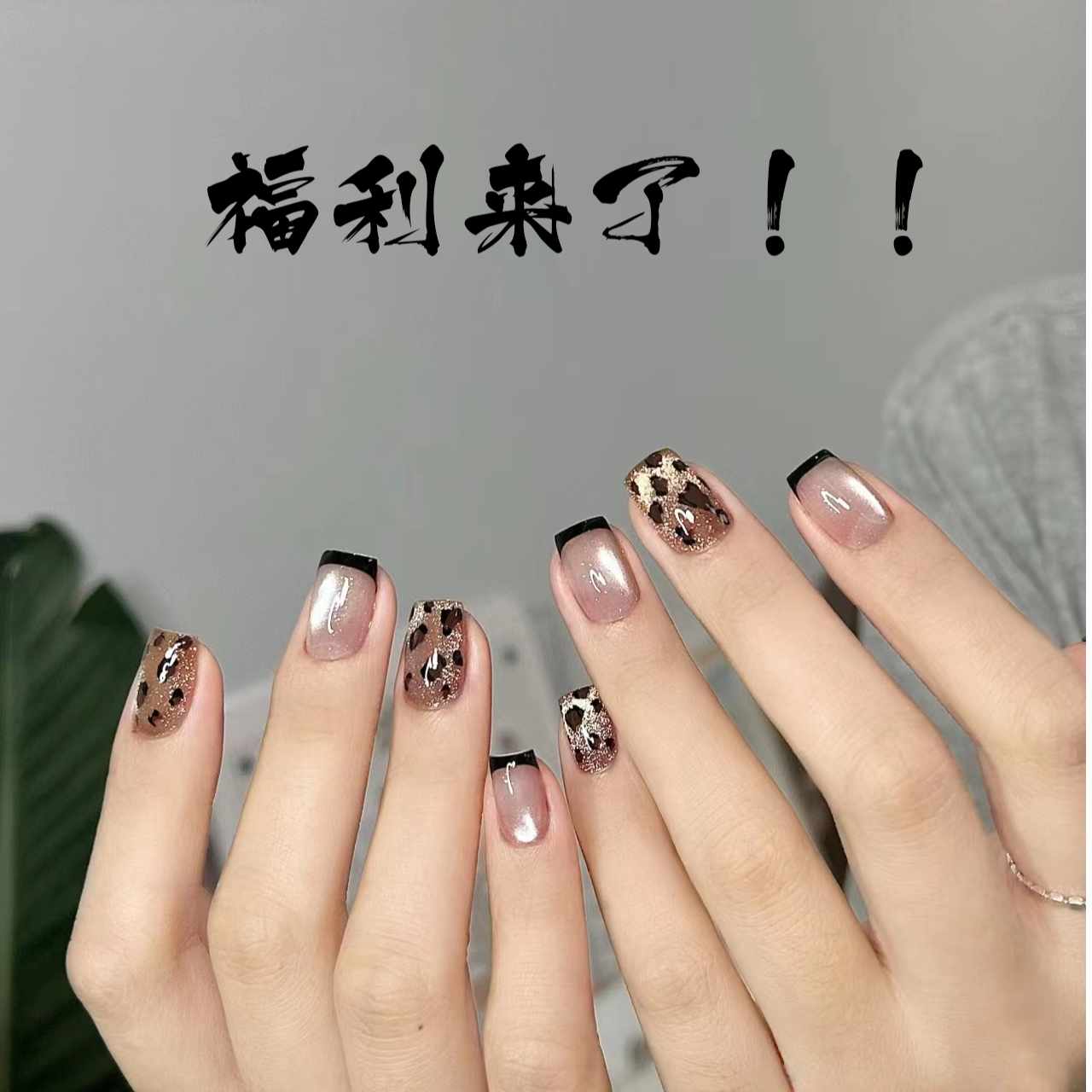 黑白基础色出口礼盒装