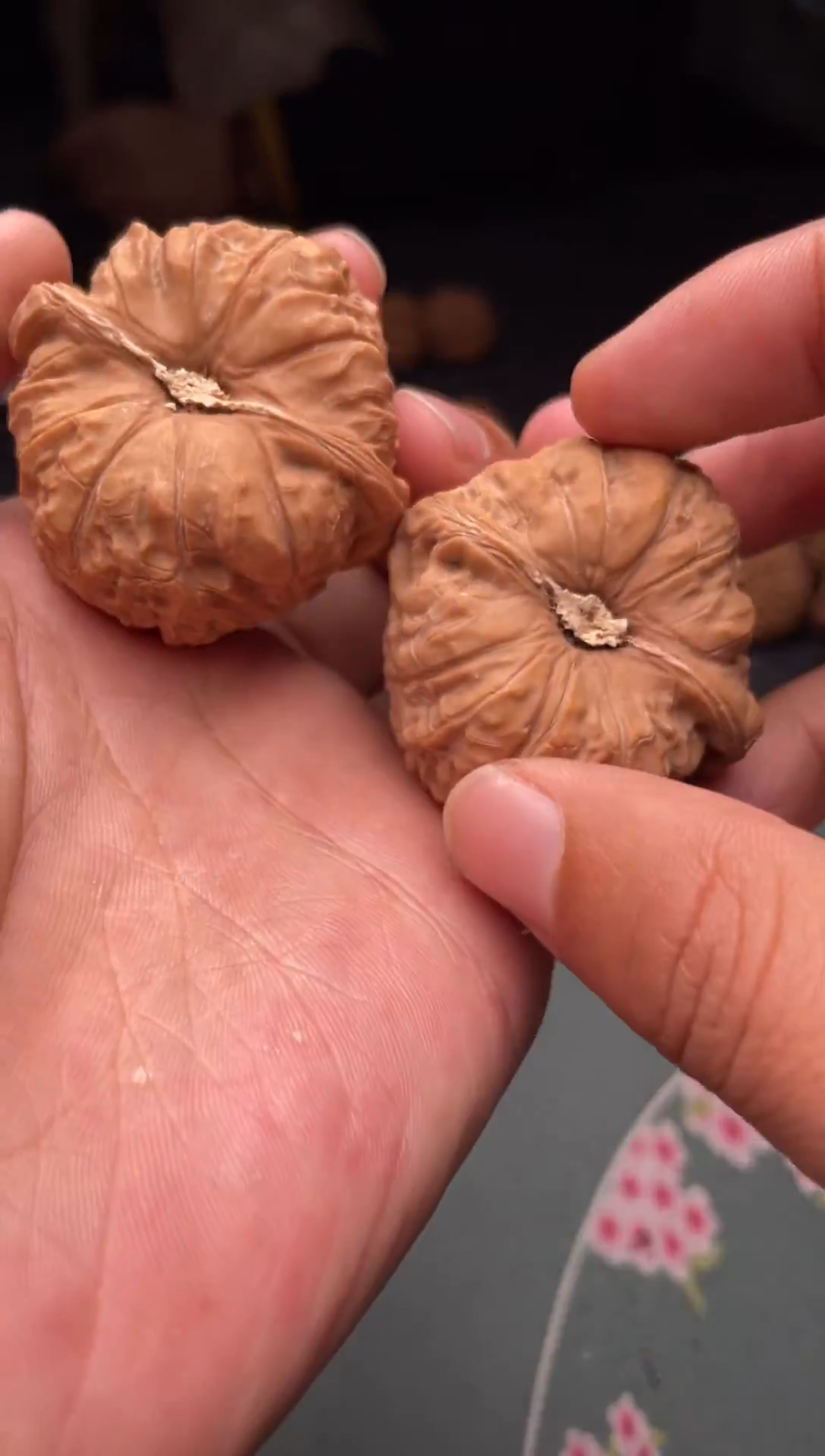 把件文玩核桃a309  南瓜墩  43尺