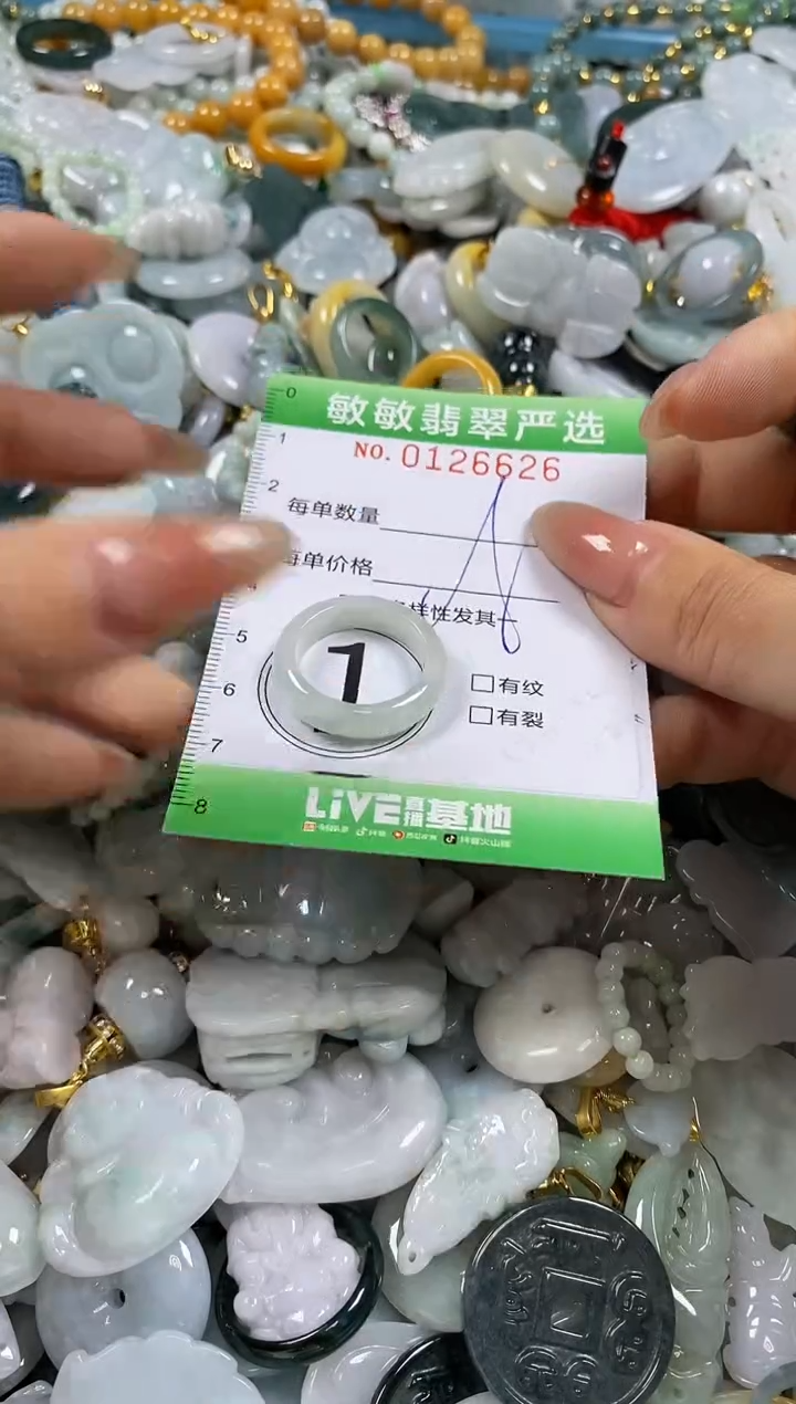 【闪购商品】翡翠颈饰未镶嵌闪购0126626