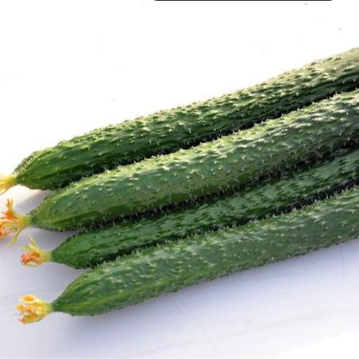 水黄瓜（500g±20g）（蔬菜）