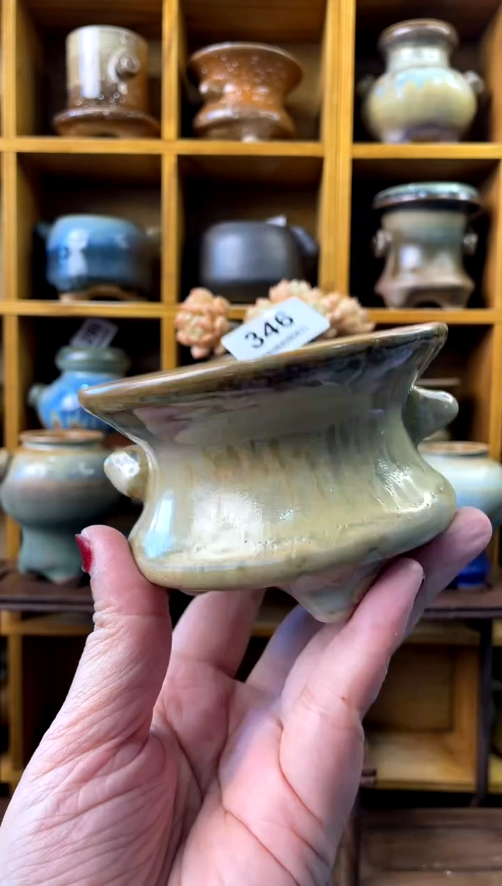 【闪购商品】陶346 内口8.5【喵喵团圆多肉盆】