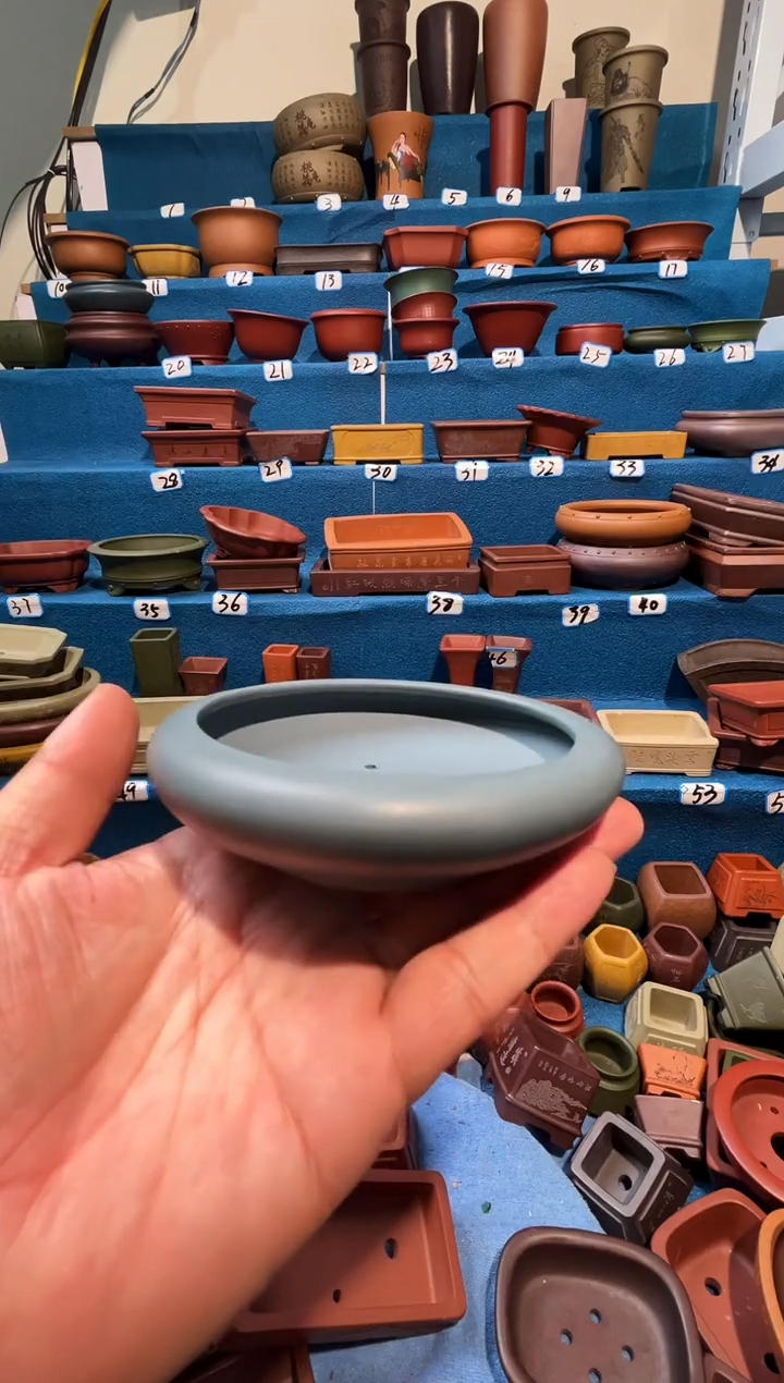 【闪购商品】紫砂紫砂花盆9.5*2