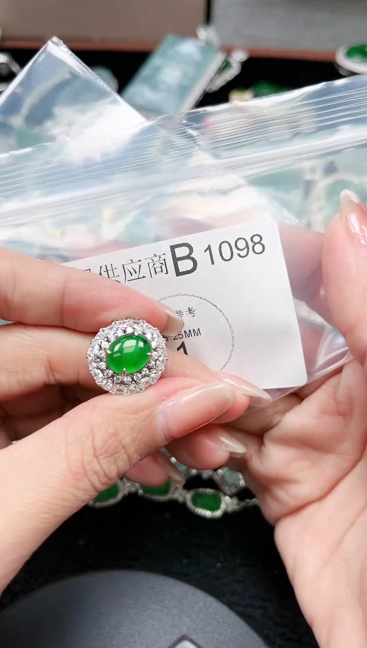 【闪购商品】翡翠颈饰未镶嵌1098赠皮绳