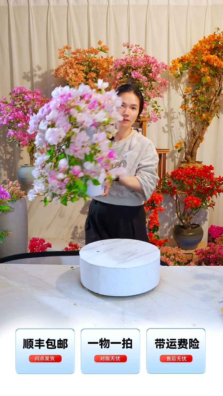 大部分开放少量花苞斑红樱