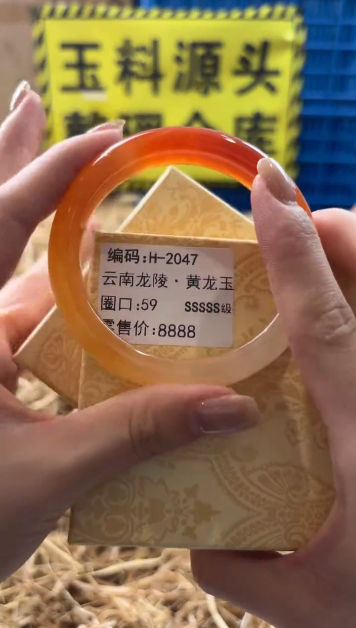 未镶嵌手镯石英质玉H-2047