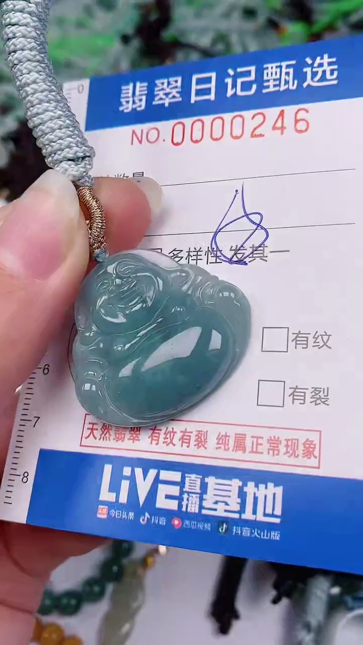 【闪购商品】翡翠颈饰未镶嵌00000246