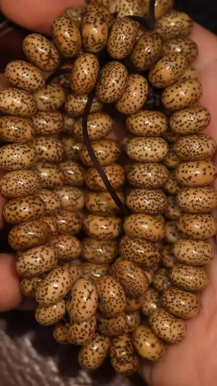 冲赛康胡子哥，藏传念珠216