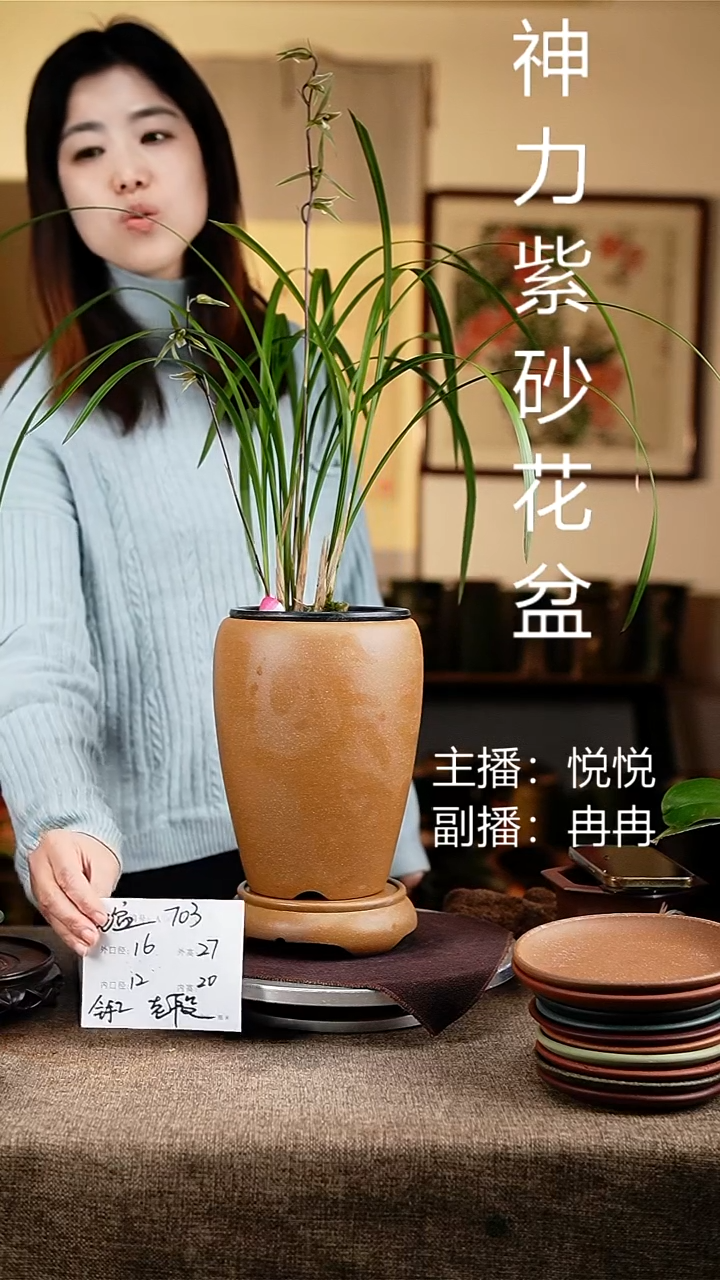 紫砂花盆花卉工艺703+z原配