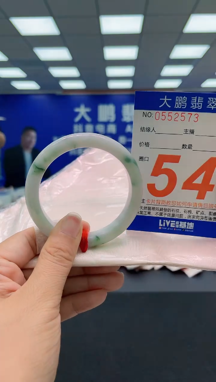 未镶嵌手镯翡翠AAAAAAAAA