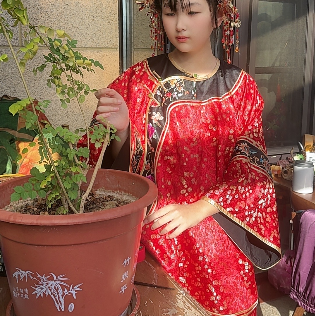 红色系国风手工刺绣青汉服
