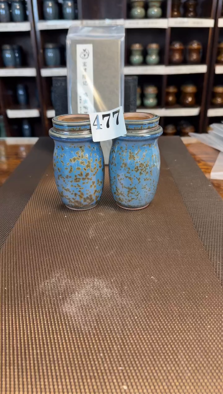 【闪购商品】珊瑚蓝  金声玉振   一对   477