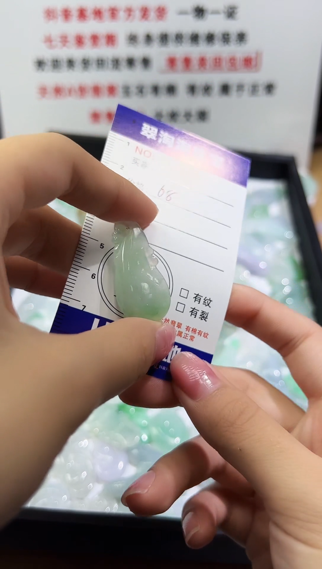 【闪购商品】翡翠未镶嵌颈饰翡翠