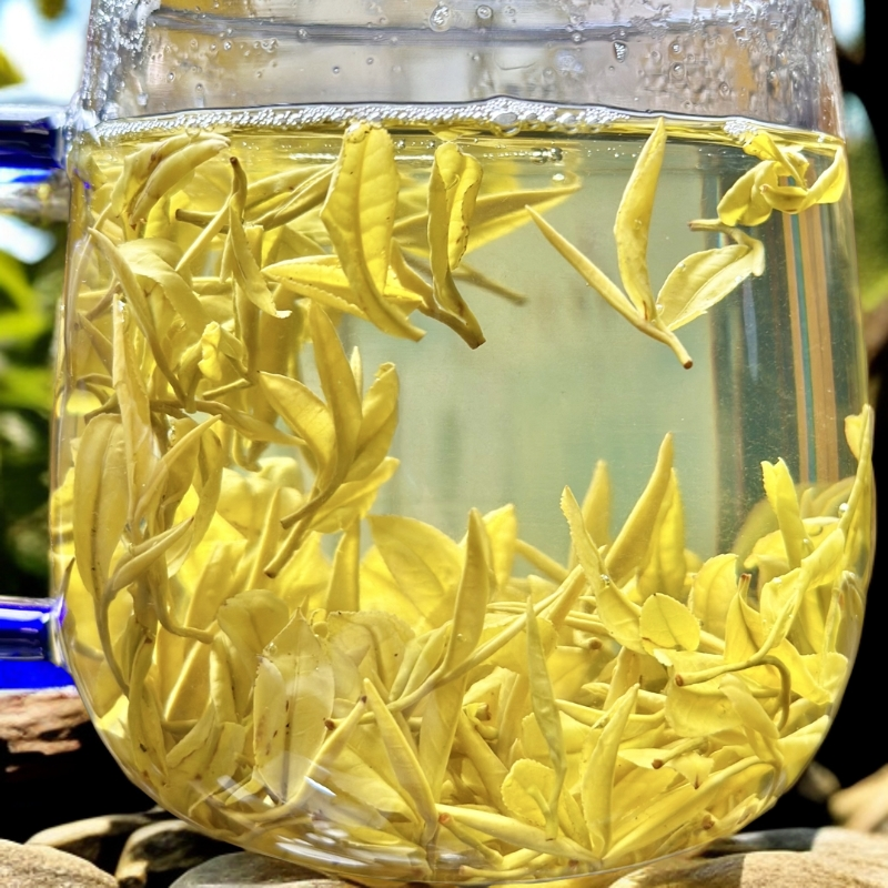 明前半手工黄金芽 豆香回甘持久 安吉母树核心产区《半手工A350》