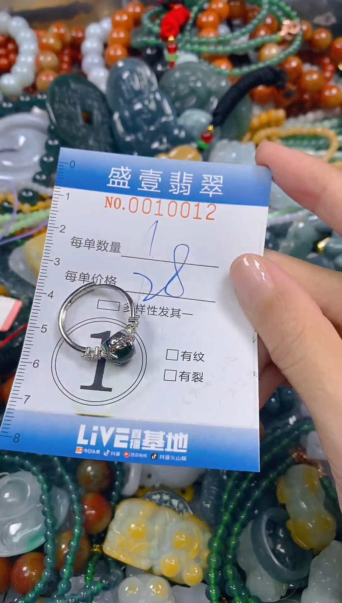 颈饰未镶嵌翡翠闪购0010012