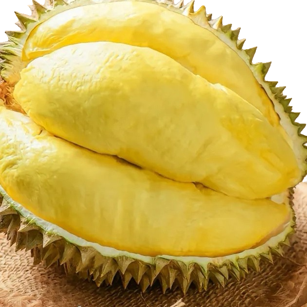 泰国金枕榴莲金枕泰国