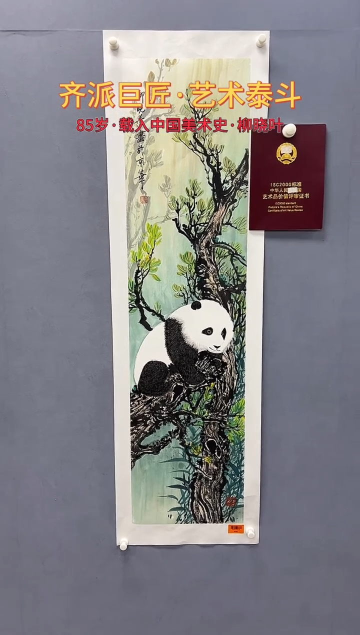 国画柳晓叶绘画4pc熊猫