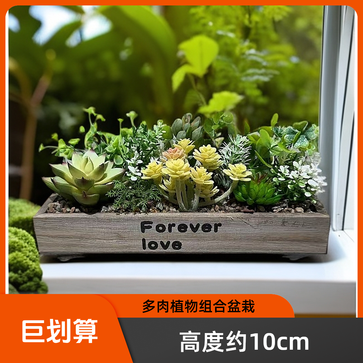 （2）多肉植物摆件仿真盆栽