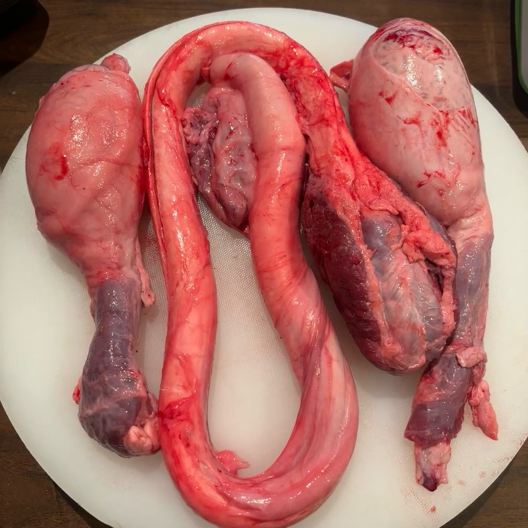 新鲜黄牛鞭整根(现场称重） 