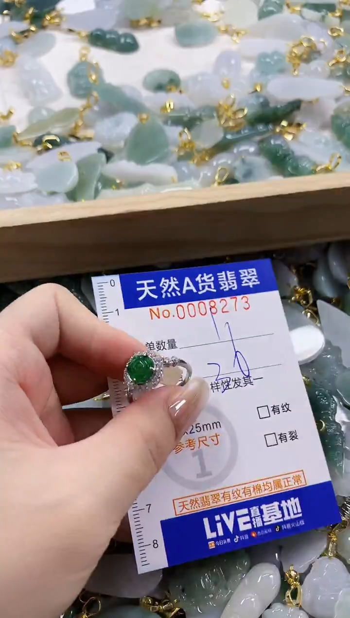 颈饰未镶嵌翡翠天然A货翡翠