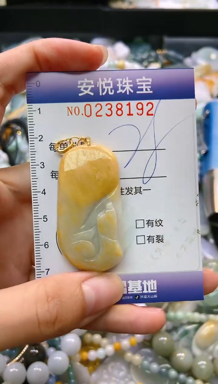 翡翠未镶嵌颈饰闪购0238192