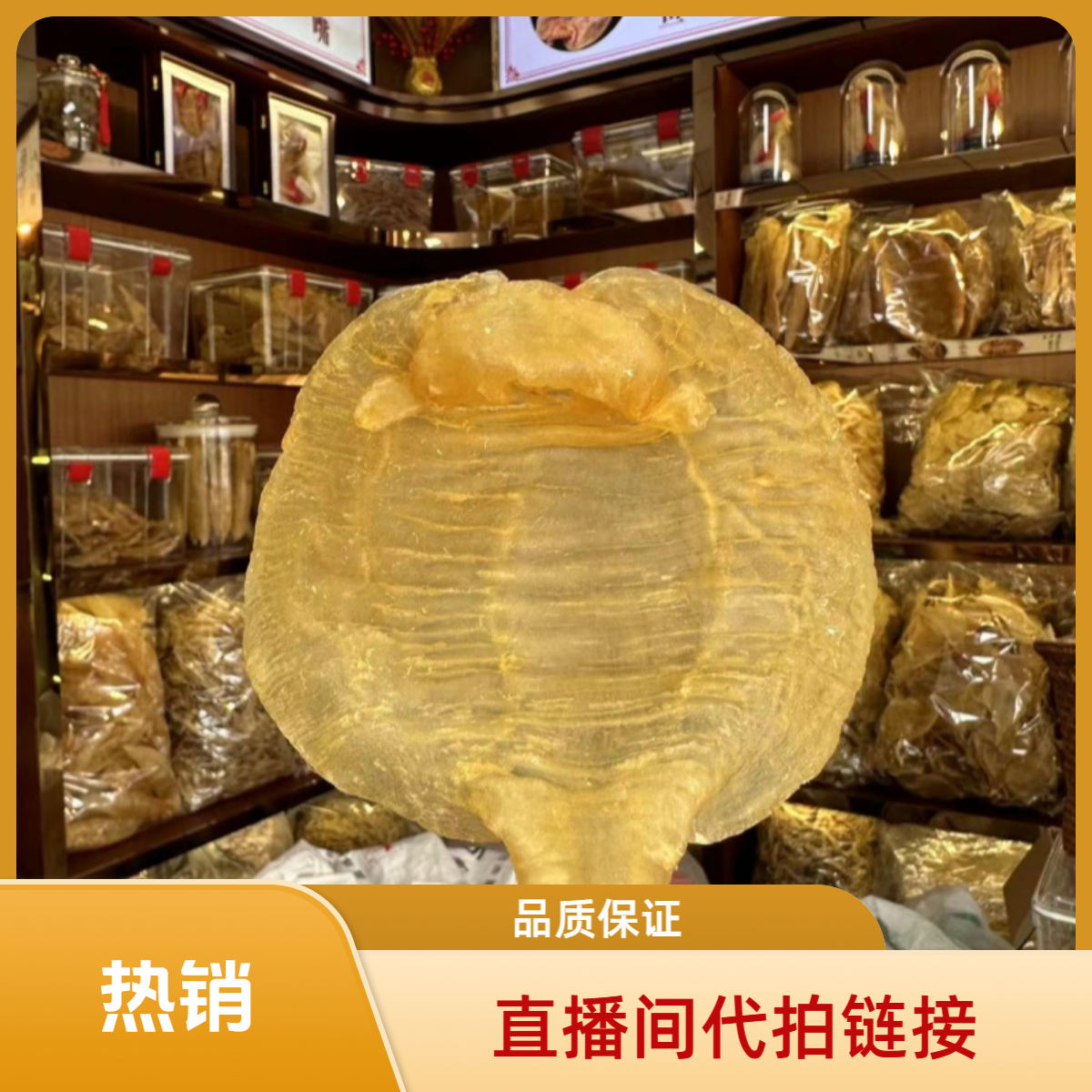 晓德鱼胶花胶直播代拍链接（具体克重按直播现场称重为准）